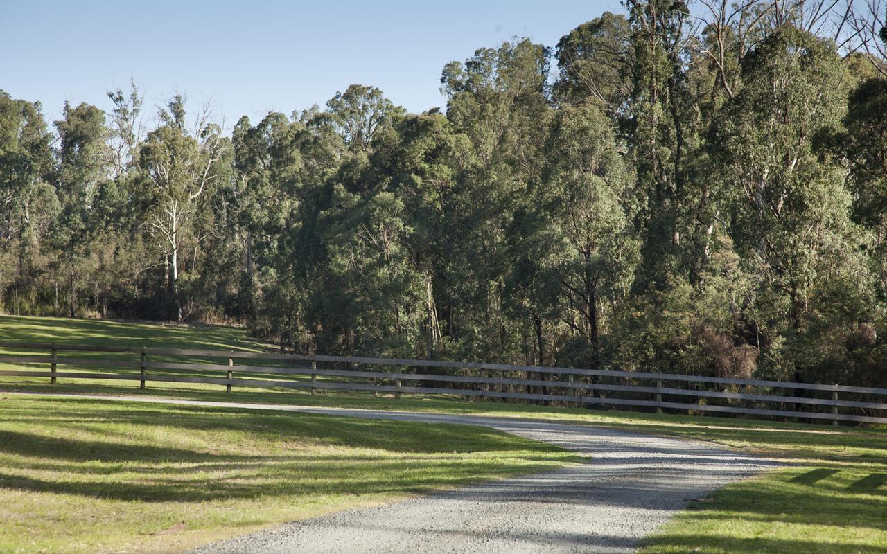 Saladin Lodge Narbethong Exterior foto