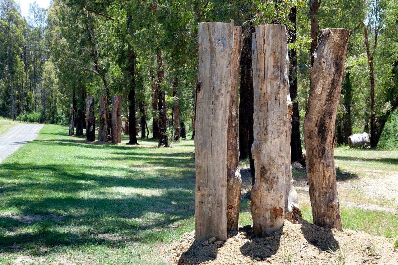 Saladin Lodge Narbethong Exterior foto